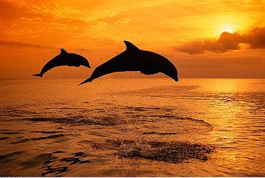 Epic喜加一：《火星孤征》免费领取